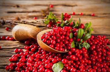 Prostat büyümesinde kranberi meyve usaresi yararlı olabiliyor