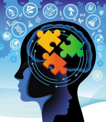 Ginkgo ve Ginseng birlikte uygulandığında dikkati artırıcı ve hafızayı kuvvetlendirici etki artıyor