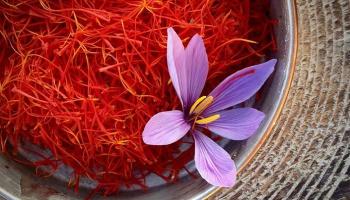 Safranın erkekler için cinsel tonik etkisi var mı?
