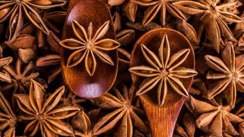 Bilimsel araştırmalar anne sütünü artıran bitkilerin etkinliğini doğruluyor